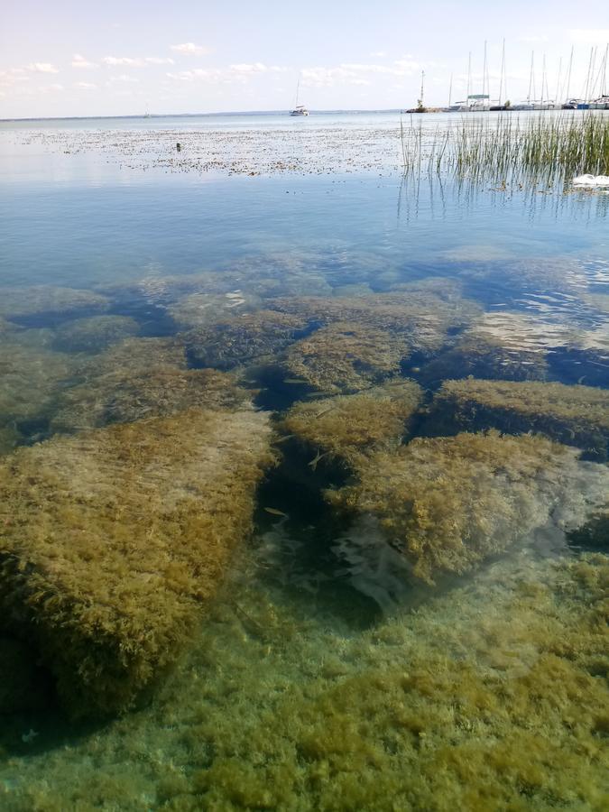Sorompo Vendeghaz Hotel Balatonkenese Eksteriør billede