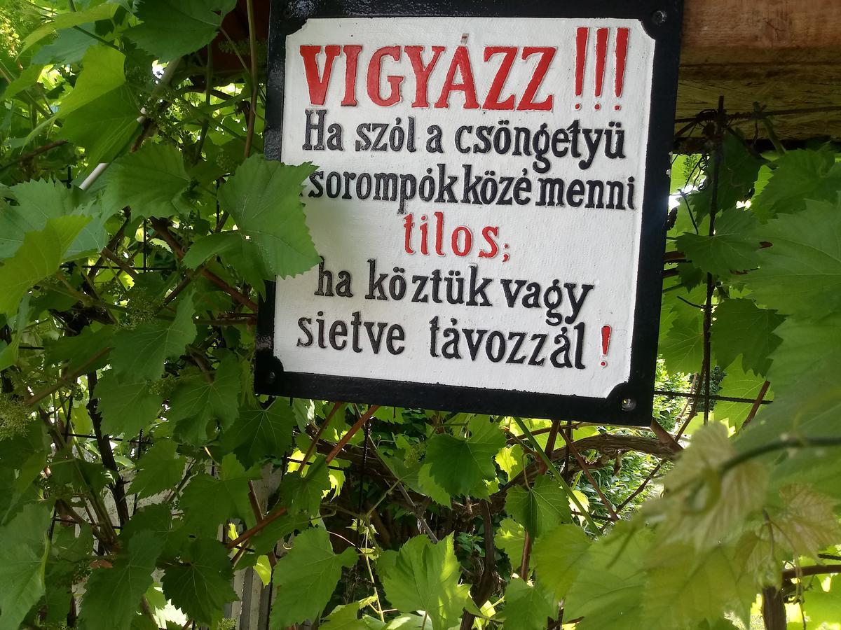 Sorompo Vendeghaz Hotel Balatonkenese Eksteriør billede